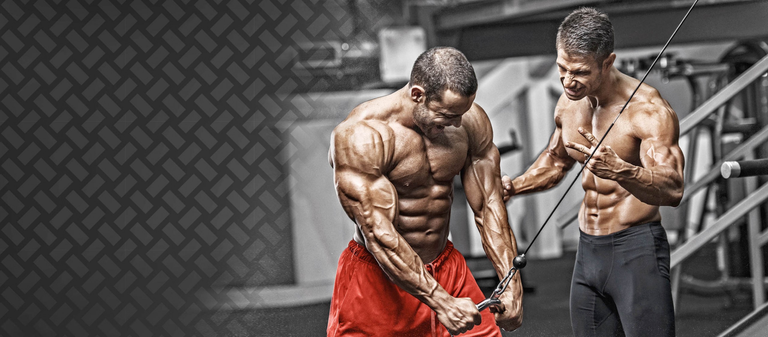 Performance-focused fitness training in Canada - AlphaPharmCanada.is
