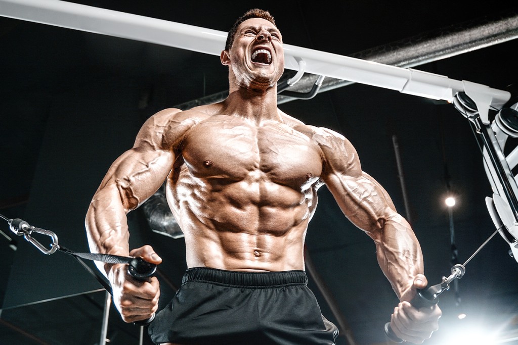 What You Need to Know About Bodybuilding and Steroids