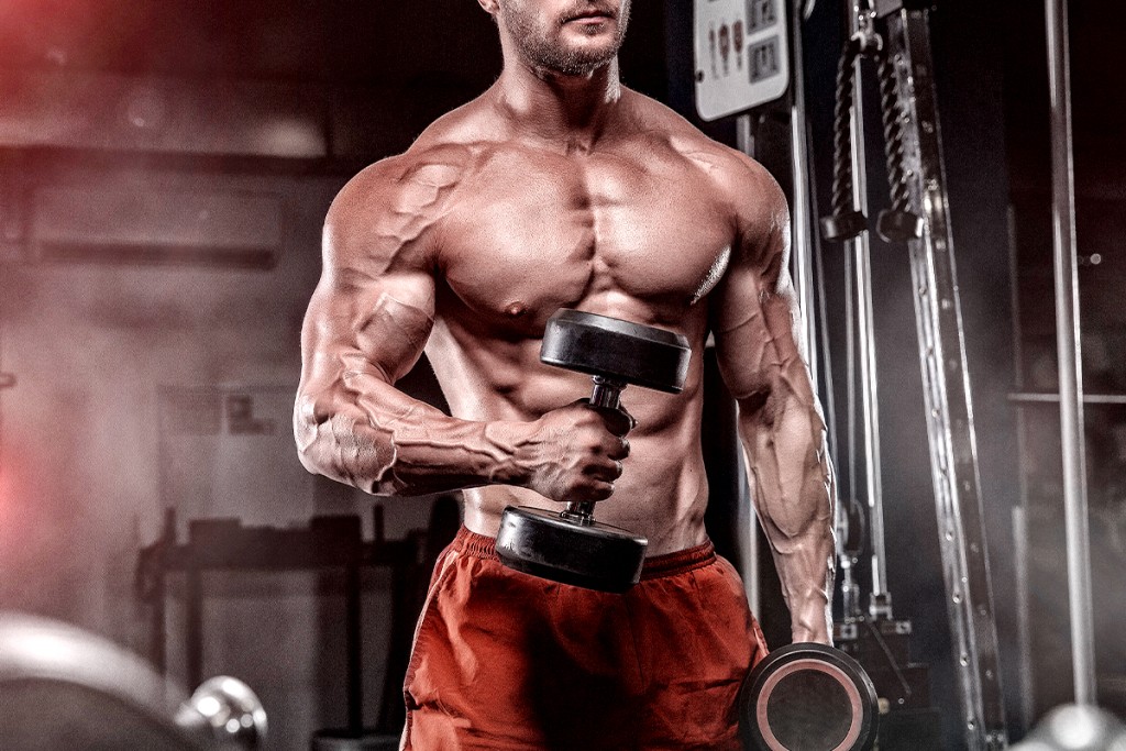 How Do Steroids Grow Muscles?