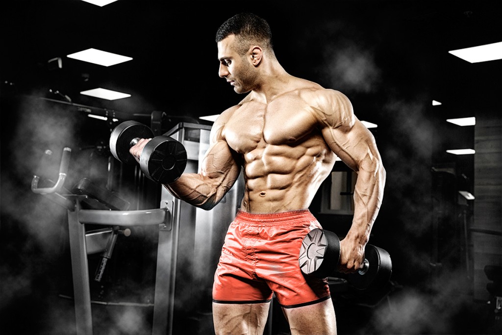 How Steroids Work & Their Cycle: A Beginner’s Guide