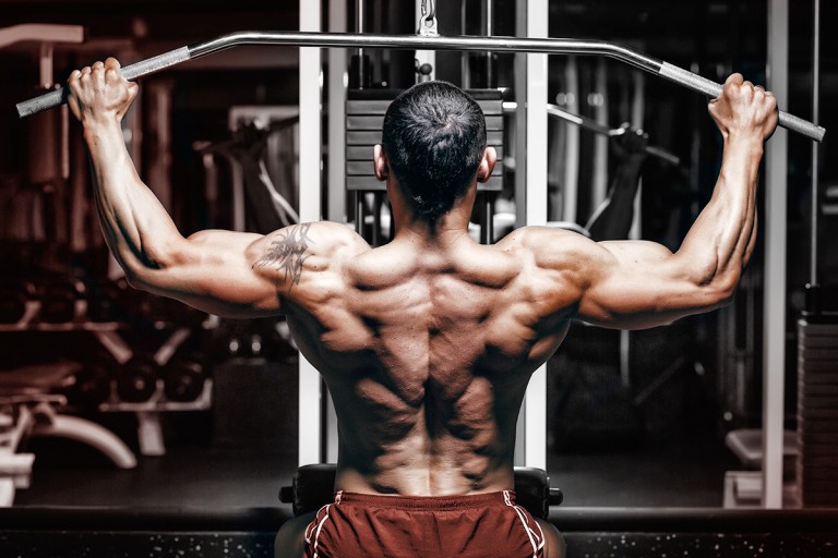 Can Steroids Help You Gain More Muscle?