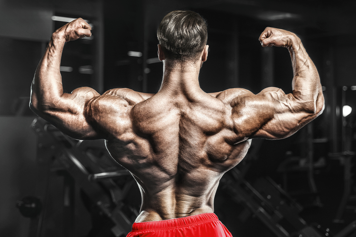 The Ultimate 5-Exercise Back Workout for Mass