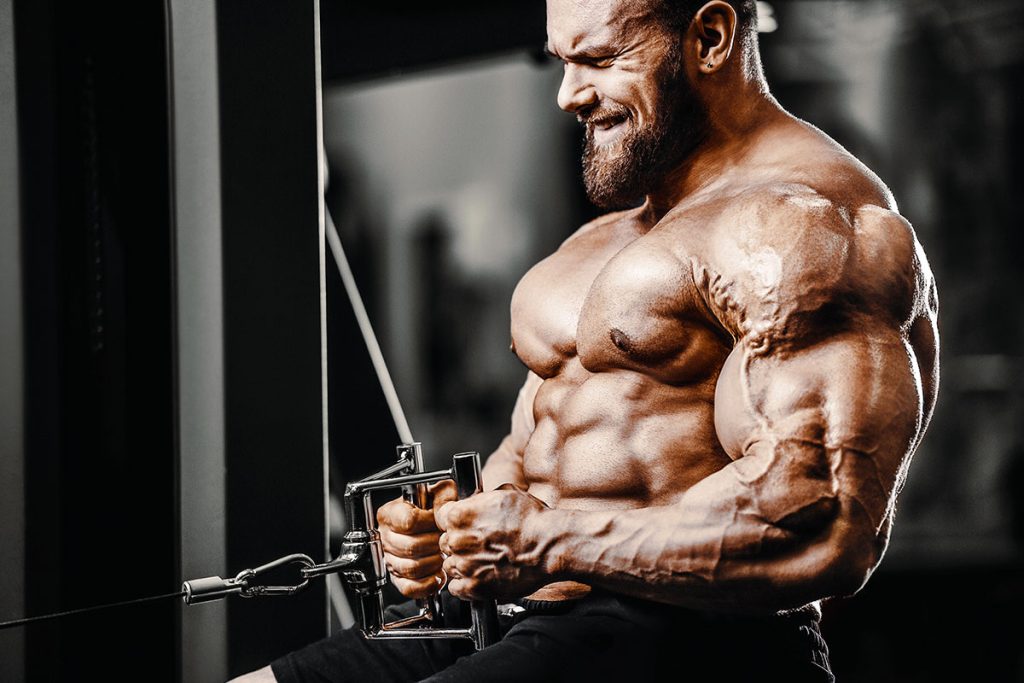 Alpha Pharm’s Top 3 Anabolic Steroids for Boosting Testosterone: An Updated Guide