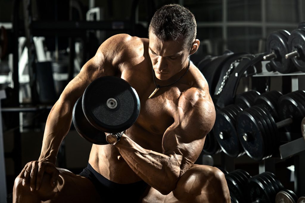 The Best Exercises To Sculpt Your Arms & Promote Bicep and Tricep Growth